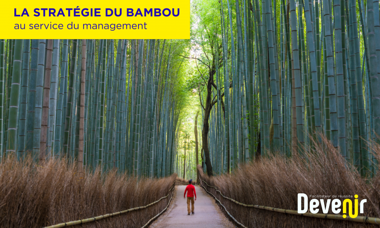 Stratégie du Bambou Management Devenir